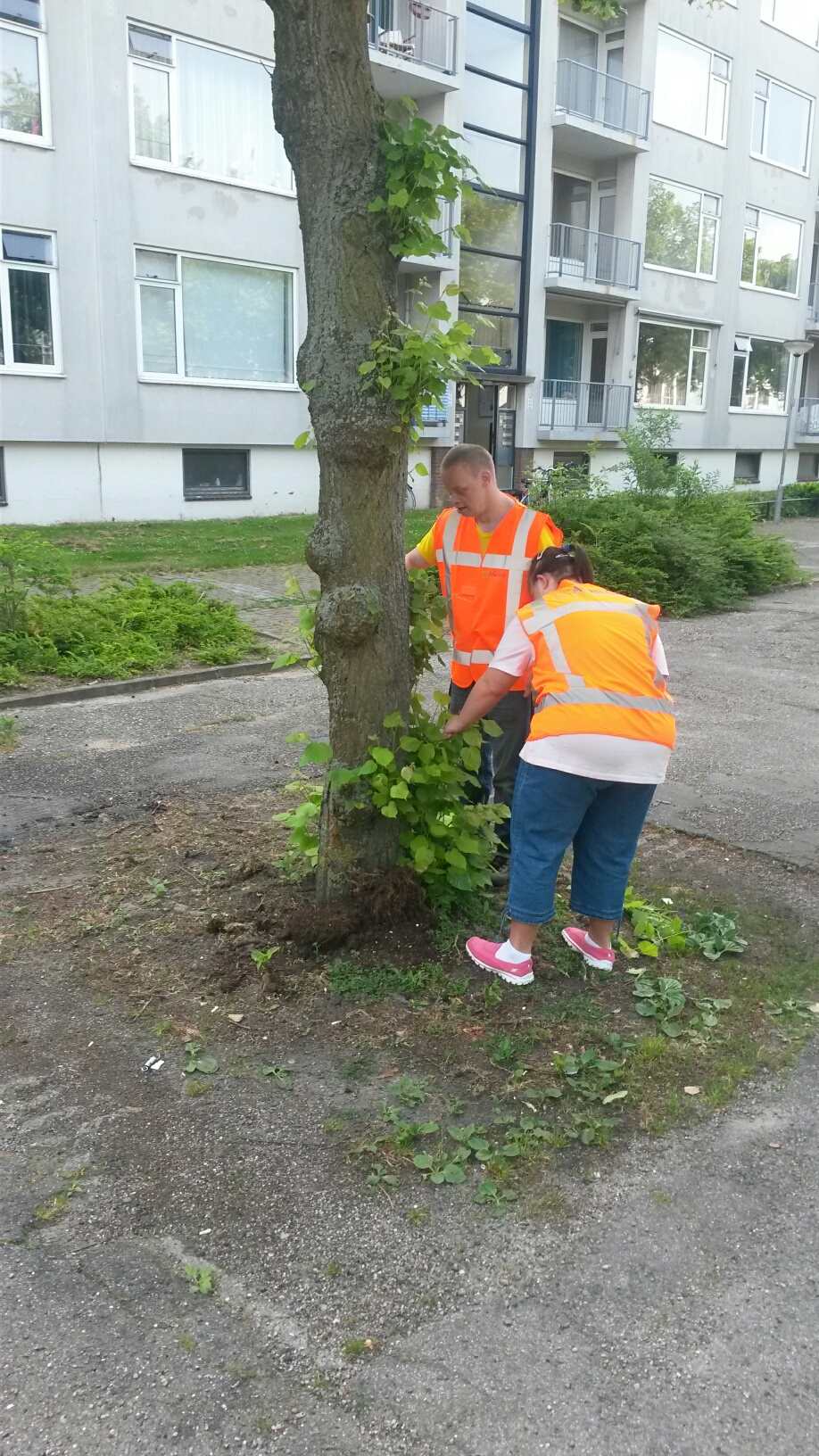 Gemiva Onderhoud 2