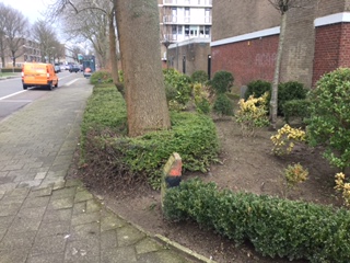 Karnebeekstraat 4