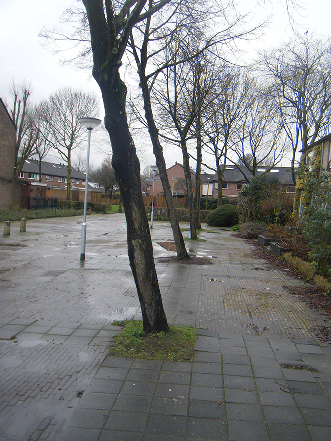 Regenboogstraat 2