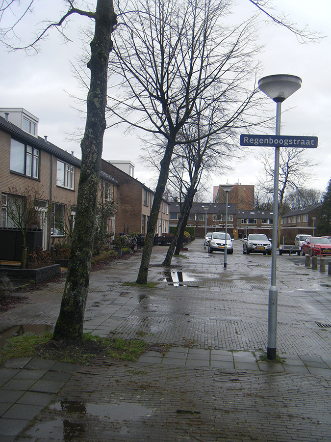Regenboogstraat 3