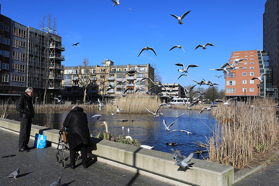 Dordrecht